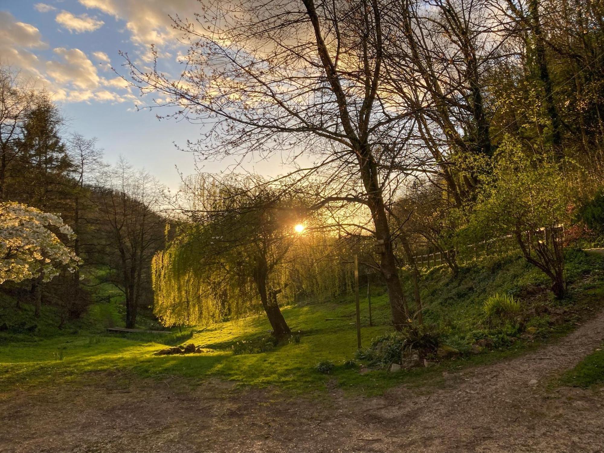 Driftcombe Farmhouse Bisley  Dış mekan fotoğraf